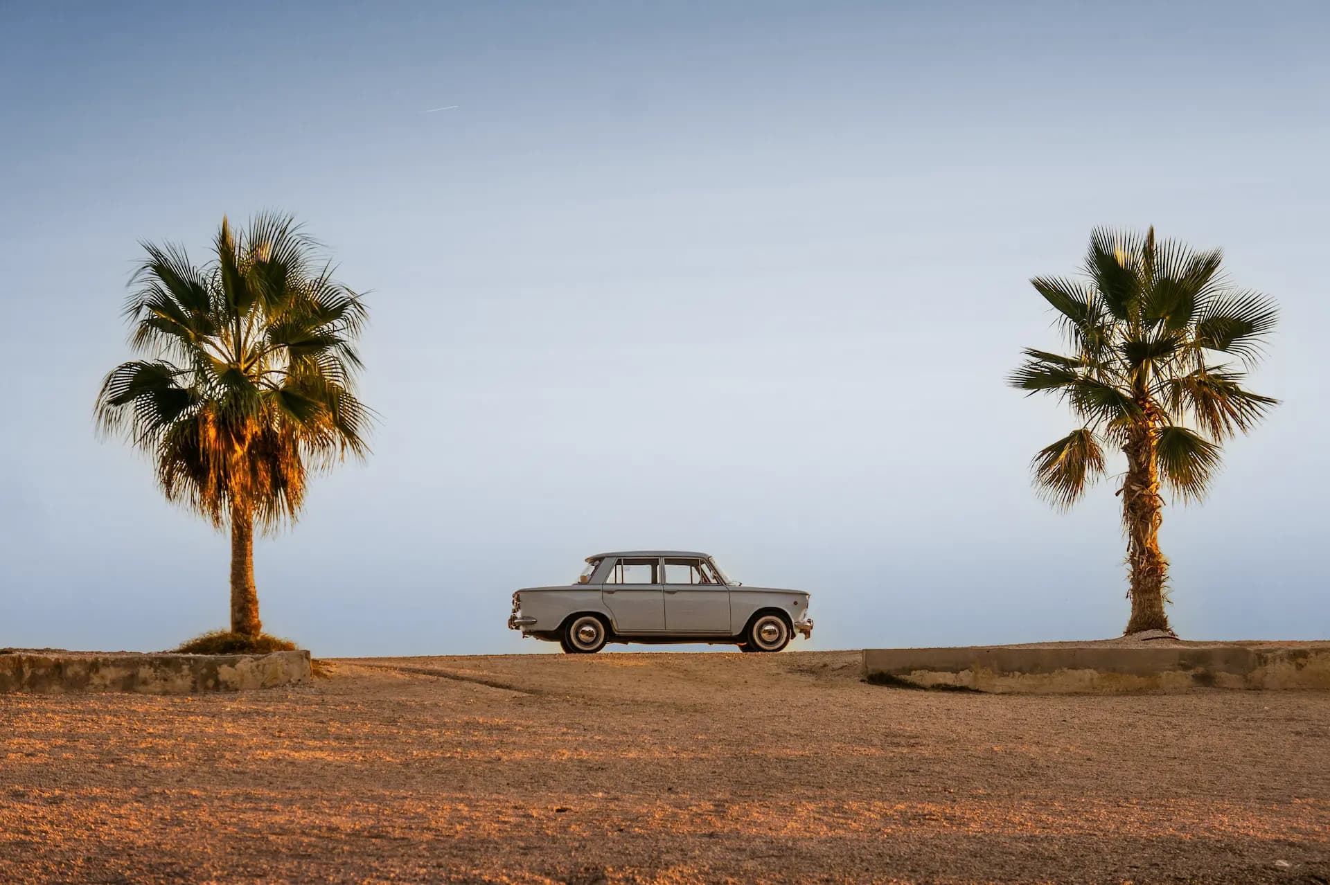 car riding between palm trees